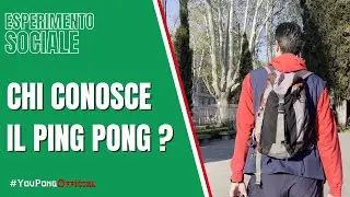 Ping pong: tra sport olimpico e gioco da spiaggia