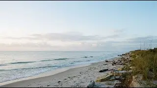 Beach Horizon &mdash; Midwest Emo Calm Guitar Piece
