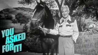 A Behind-the-Scenes Look at Movie Horse Stunts | You Asked For It