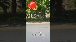 14 июня 2025 г.