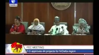 FG approves 44 projects for Niger Delta region
