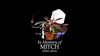 R.I.P. Mitch The Plant