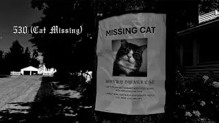 530 (Cat Missing)