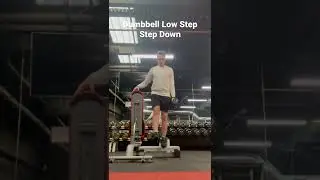 Dumbbell Low Step Step Down