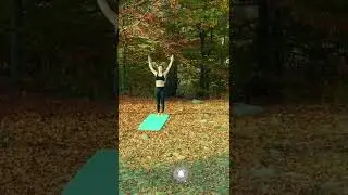 meditation status video