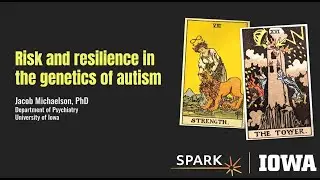 Iowa Autism Learning Community: Genetic Factors in Autism