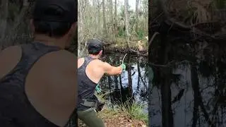 Cane Pole Fishing in a Tiny Hidden Creek (Quick Warmouth Bite!)