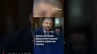 Сенат одобрил резолюцию о блокировании пошлин Трампа на Канаду #политика