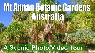 A Scenic Photography-Video Tour - Mount Annan Botanic Garden