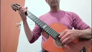 Boulevard -dan bird. Fingerstyler.