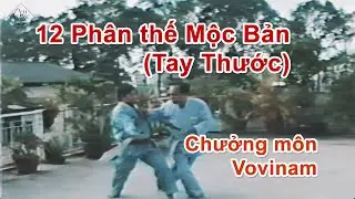 Phân thế mộc bản (Tay thước) Vovinam | võ sư Chưởng môn Lê Sáng