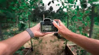 Sony a7III in 2020 | Is it worth it?