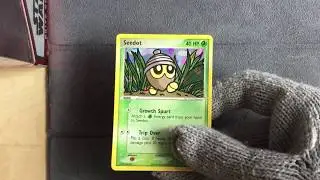 Seedot 71/101 Reverse Holo - Pokemon Hidden Legends