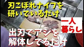 【老後一人暮らし】刃こぼれナイフを研いで、出刃包丁でアジを解体してるだけの一日