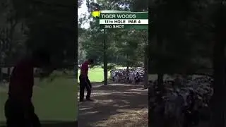 Tiger Woods Best Shot From 2010 Masters #tigerslam #tigerwoods #hansworldtv #golf #golfer