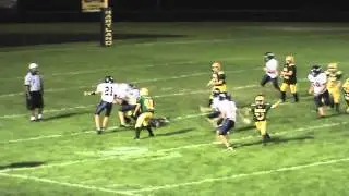 Fever Dream 300 (Football Big Hits) - HARTLAND UNLEASHED