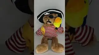 Animated Pirate Bear Duo