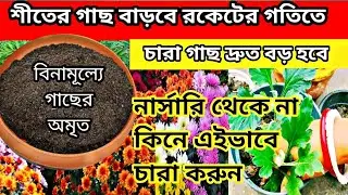 শীতের গাছ বাড়বে রকেটের গতিতে ১বার দিয়ে দেখুন। শীতের গাছের পরিচর্যা/চারা তৈরির পদ্ধতি winter garden
