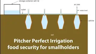 Идеальный полив Pitcher для мелких фермеров