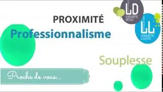 LINGUISTIC LOUSTIC DECLIC