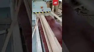 💲10% Discount💲 Automatic Wood Sawing Machine/ Automactic Multi Blade Rip Saw