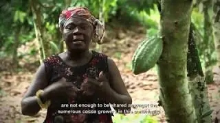 Cocoa Farm Financial Challenges