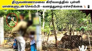 Public Taking Selfies with Spotted Deer on Thiruvannamalai Temple Girivalam Path 
