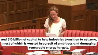 Sarah Game MLC | Federal Budget reply notice of Motion