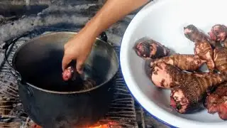 c&oacute;mo hacer este delicioso postre de macal (bud&iacute;n)