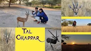 Tal Chappar | Abhyaaran | The Heaven Of Earth | A Must Visit Place