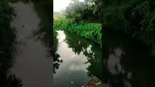 God's on country # Nature # Nature beauty # vibes# whatsapp status#