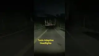 Tesla Adaptive Headlights in Yellowstone Park
