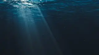 Scuba diver drowns at Rye Pier in Melbourne