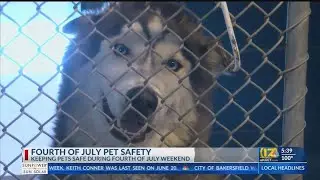 Fourth of July Pet Safety