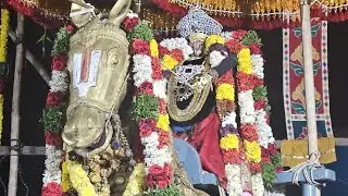 திருக்கோளுர் ஸ்ரீ வைத்தமாநிதி பெருமாள் கனு பாரிவேட்டை நடைபெற்றது.