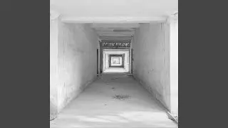 The Lost