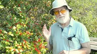 WSKG Age Of Nature Waterman Promo Apalachin Marsh