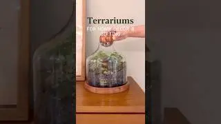 Terrariums for gifting & home decor
