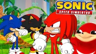 SONIC AND SHADOW AND KNUCKLES PLAYS SONIC SPEED SIMULATOR