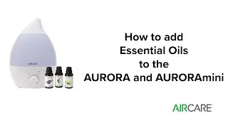 AIRCARE - How to add Essential Oils to the AURORA and AURORAmini