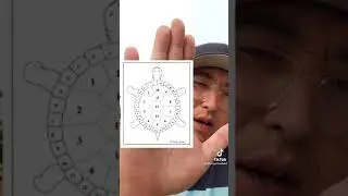 The True Calendar and Turtles Tiktok chrisyellowbird