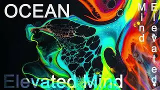 Elevated Mind