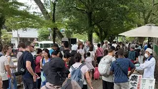 2025/08/12 昼の鹿活　登大路園地〜