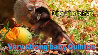 Wow! Great newborn baby Quinton he very strong he just born 2 day but can walk to kiss Priyana