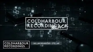 William Schneider - Stellar