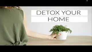 DETOXIFY YOUR HOME WITH FRED GICHUKI