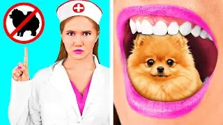 C&oacute;mo Colar Mascotas En el Dentista | Impresionante Desaf&iacute;o Creativo por 4Fun Challenge