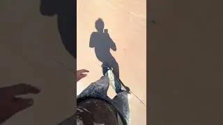 POV drop into halfpipe 🛹 #vert #foryou #fyp #skateboarding #iloveskateboarding #pov