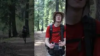 You Won&rsquo;t Believe How Quiet This Forest Is&hellip;