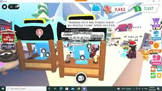trading houses in adopt me  for good offer did no go well